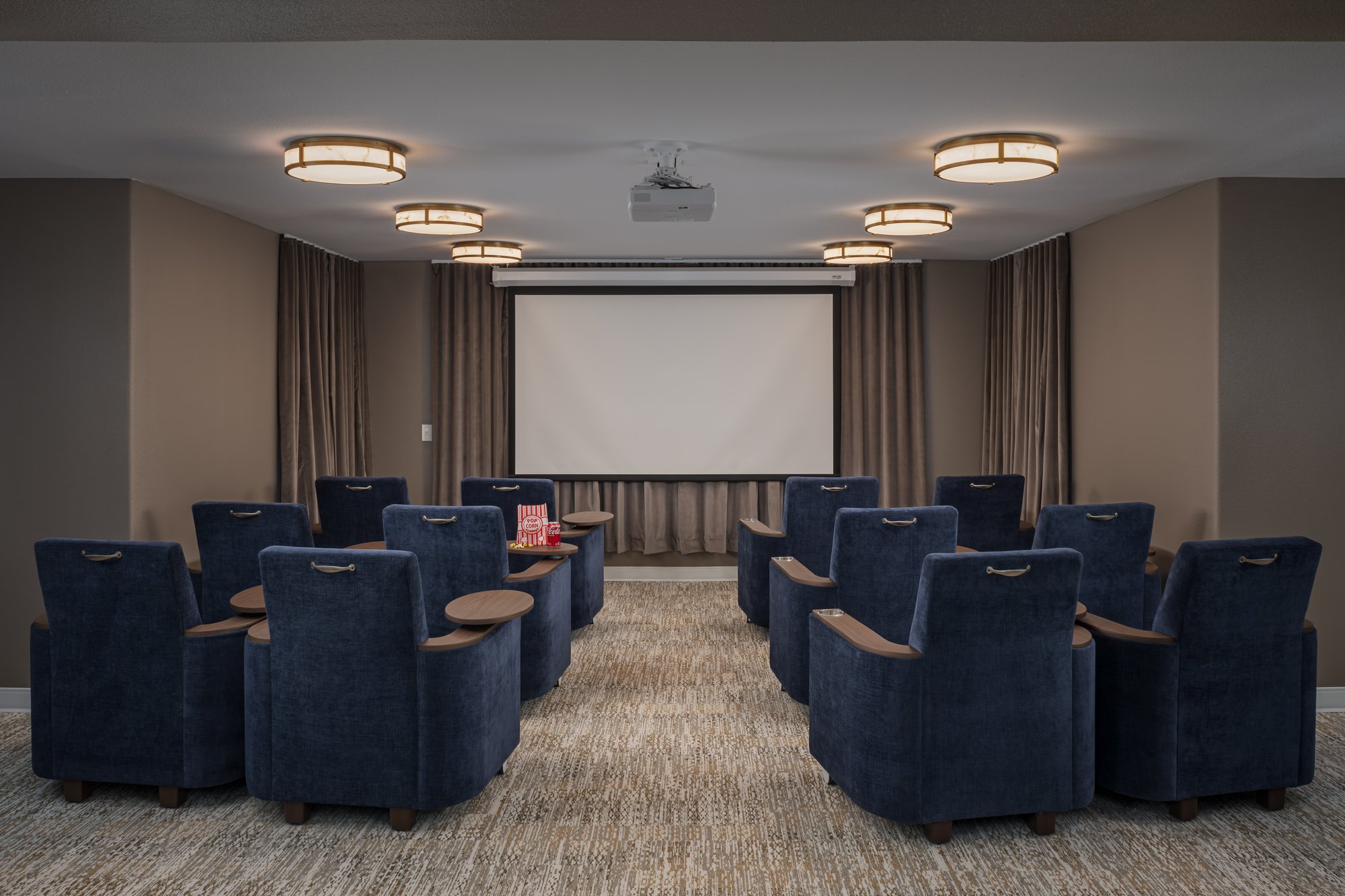 CPW-IL-MovieRoom-10